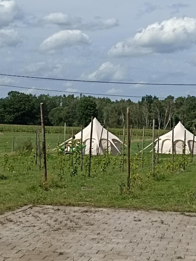 Natuur-Like Glamping In Bosland NeerNeerpelt Exterior foto