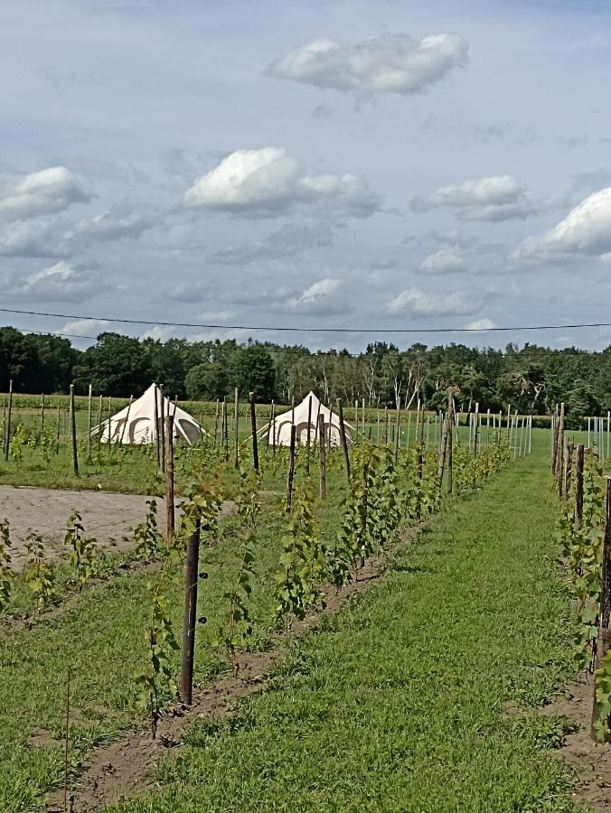 Natuur-Like Glamping In Bosland NeerNeerpelt Exterior foto