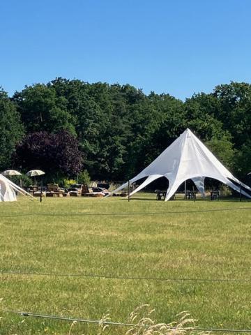 Natuur-Like Glamping In Bosland NeerNeerpelt Exterior foto